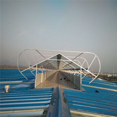 自然通風(fēng)器批發(fā)